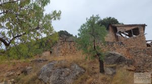 Detalle de Finca en Ráfales. con almendros