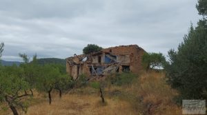 Finca en Ráfales. en venta con olivos centenarios por 190.000€