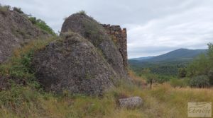 Foto de Finca en Ráfales. con olivos centenarios