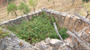 Foto de Finca en Ráfales. en venta con viñedos