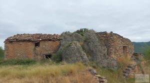 Vendemos Finca en Ráfales. con olivos centenarios