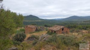 Foto de Finca en Ráfales. en venta con almendros por 190.000€