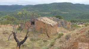 Finca en Ráfales. en venta con almendros