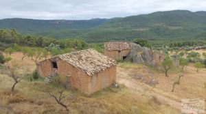 Foto de Finca en Ráfales. en venta con almendros por 190.000€