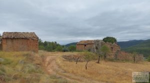 Finca en Ráfales. a buen precio con olivos centenarios por 190.000€