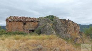 Detalle de Finca en Ráfales. con viñedos