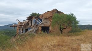 Foto de Finca en Ráfales. en venta con almendros