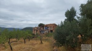 Finca en Ráfales. para vender con olivos centenarios por 190.000€