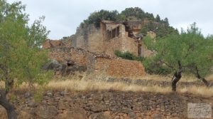 Foto de Finca en Ráfales. con olivos centenarios por 190.000€