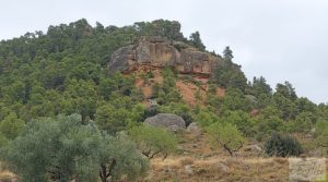 Foto de Finca en Ráfales. en venta con viñedos