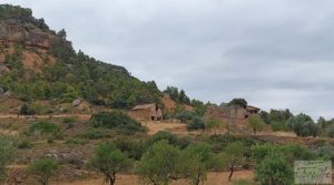 Foto de Finca en Ráfales. en venta con viñedos