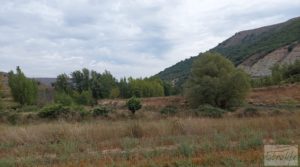 Se vende Finca en Mirambel con electricidad con paneles solares por 500.000€