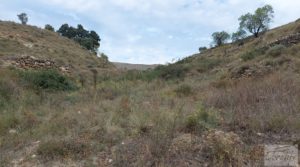 Foto de Finca en Mirambel en venta con electricidad con paneles solares