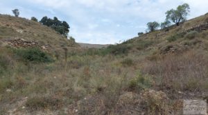 Foto de Finca en Mirambel en venta con electricidad con paneles solares