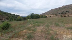 Finca en Mirambel para vender con electricidad con paneles solares