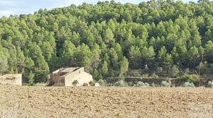 Vendemos Finca en Horta de Sant Joan con establos