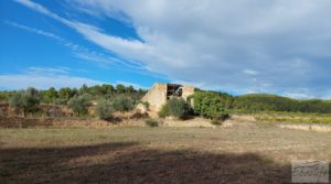 Finca en Horta de Sant Joan para vender con reserva de agua. pozo con noria