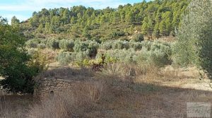 Foto de Finca en Horta de Sant Joan en venta con establos