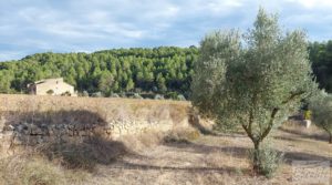 Se vende Finca en Horta de Sant Joan con establos