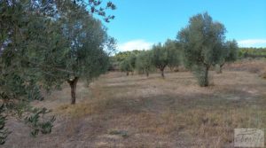 Foto de Finca en Horta de Sant Joan con reserva de agua. pozo con noria