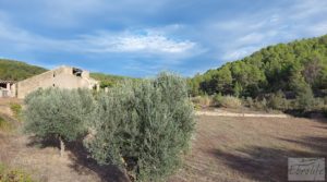 Finca en Horta de Sant Joan en oferta con reserva de agua. pozo con noria por 56.000€