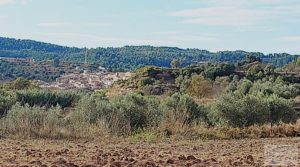 Se vende Finca en Horta de Sant Joan con establos