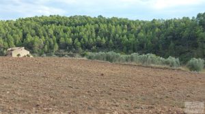 Finca en Horta de Sant Joan en oferta con establos