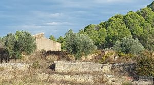 Se vende Finca en Horta de Sant Joan con establos