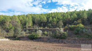 Se vende Finca en Horta de Sant Joan con establos