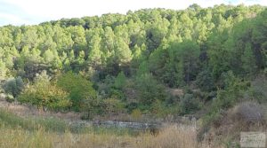 Finca en Horta de Sant Joan para vender con establos