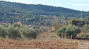 Vendemos Finca en Horta de Sant Joan con establos por 56.000€