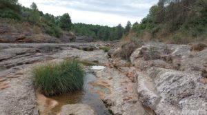 Molino harinero en Cretas, junto al río Algars. en venta con tranquilidad