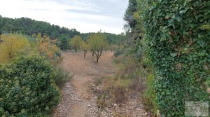 Vendemos Molino harinero en Cretas, junto al río Algars. con tranquilidad por 120.000€