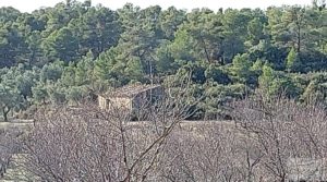 Foto de Finca en Calaceite con olivares centenarios, almendros y bosques. con tranquilidad y privacidad