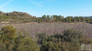 Foto de Finca en Calaceite con olivares centenarios, almendros y bosques. con buenos accesos