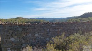 Finca en Calaceite con olivares centenarios, almendros y bosques. para vender con tranquilidad y privacidad