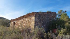 Detalle de Finca en Calaceite con olivares centenarios, almendros y bosques. con tranquilidad y privacidad