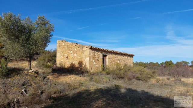 Finca en Calaceite con olivares centenarios, almendros y bosques.