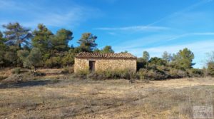 Foto de Finca en Calaceite con olivares centenarios, almendros y bosques. en venta con buenos accesos