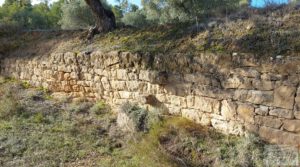 Se vende Finca en Calaceite con olivares centenarios, almendros y bosques. con buenos accesos