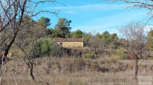 Foto de Finca en Calaceite con olivares centenarios, almendros y bosques. con buenos accesos