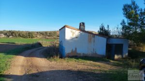 Vendemos Casa de Campo en Caspe con olivos centenarios, almendros e higueras. con buenos accesos por 35.000€