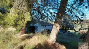 Casa de Campo en Caspe con olivos centenarios, almendros e higueras. en venta con chimenea por 35.000€