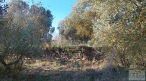 Casa de Campo en Caspe con olivos centenarios, almendros e higueras. en venta con agua por 35.000€