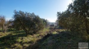 Casa de Campo en Caspe con olivos centenarios, almendros e higueras. para vender con chimenea