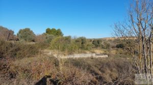 Vendemos Casa de Campo en Caspe con olivos centenarios, almendros e higueras. con chimenea