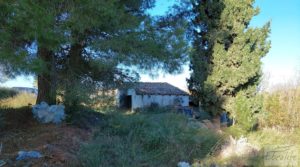 Detalle de Casa de Campo en Caspe con olivos centenarios, almendros e higueras. con agua