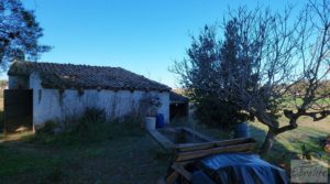 Foto de Casa de Campo en Caspe con olivos centenarios, almendros e higueras. en venta con chimenea