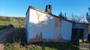 Foto de Casa de Campo en Caspe con olivos centenarios, almendros e higueras. con buenos accesos por 35.000€