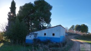 Casa de Campo en Caspe con olivos centenarios, almendros e higueras. a buen precio con chimenea por 35.000€